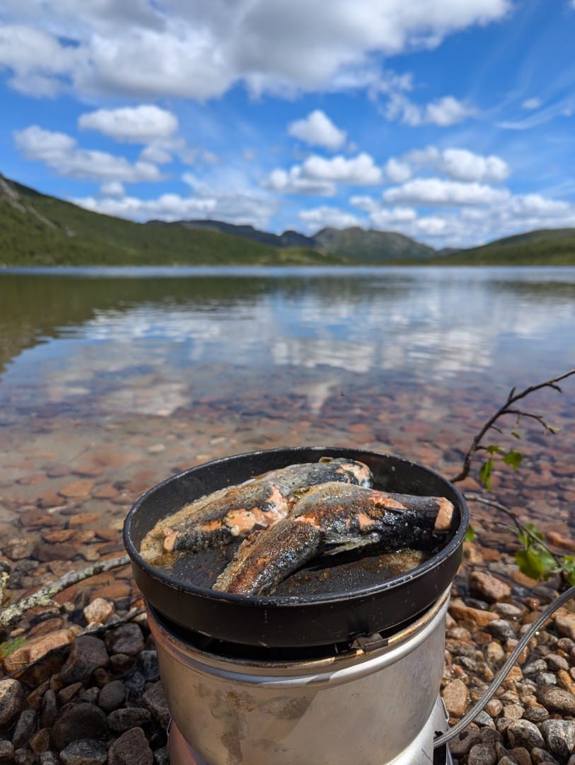 Freshly caught trout frying in a pan beside a clear mountain lake.